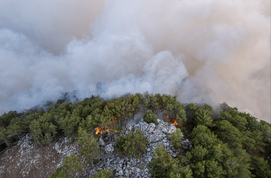 Incendios forestales